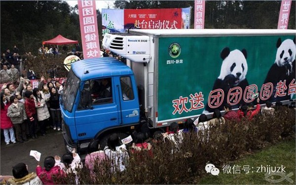 丹麦女王访华 中国将向丹赠送两只熊猫 盘点中国熊猫外交史